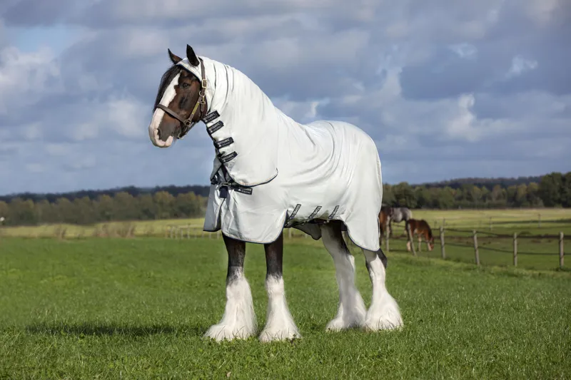 Rambo Hoody XL Fly/Sweet Itch Rug Grey/Beige-1